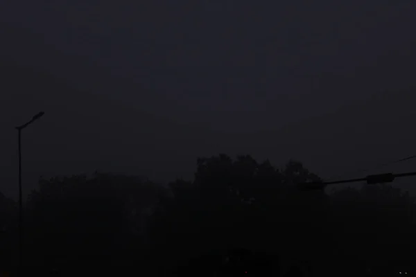 Gece gökyüzünde bir ağacın silueti