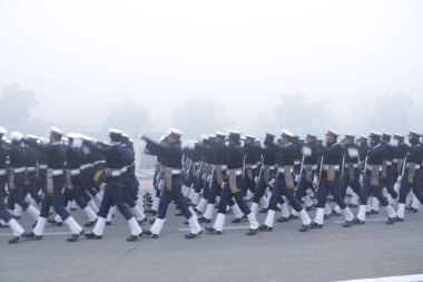 Bir sürü penguenler karda