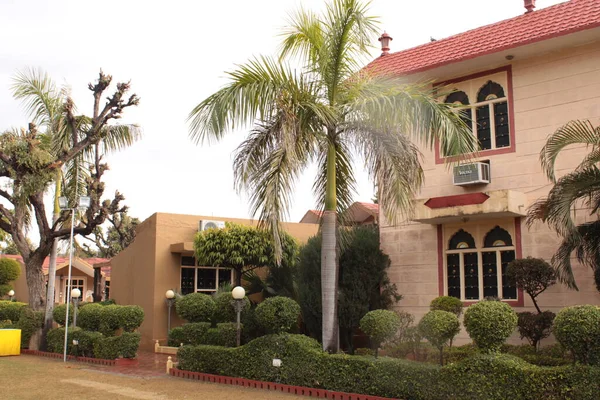 Şehirdeki güzel tropikal tatil oteli.