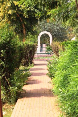 Chennai, Tamil Nadu, Hindistan 11 Nisan 2023: Kamu parkında yeşil çimenler ve ağaçlar, Hindistan, Delhi