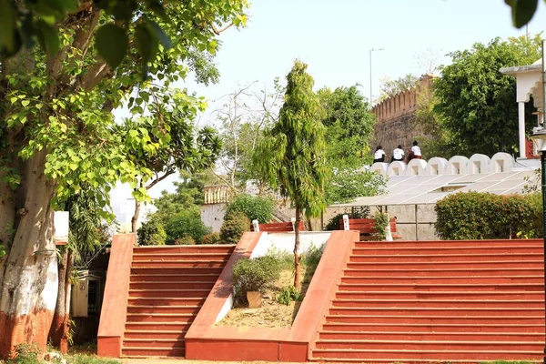 Chennai Tamil Nadu India Apr 2023 Groen Gras Bomen Openbaar — Stockfoto