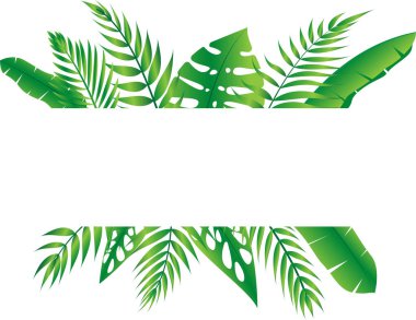 Vektör çiçek çerçevesi Orman eğreltiotu tropikal yaprak foliyajı