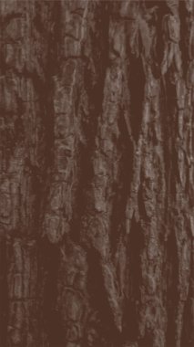 pine tree wood skin detailed texture vector clipart