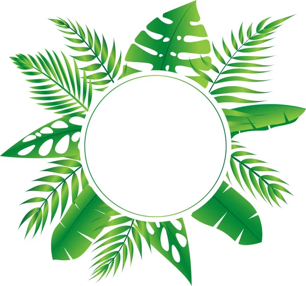 Vektorblumenrahmen Waldfarn Tropische Blattfolliage — Stockvektor