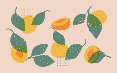 Kayısı ve yapraklı Risograph çizelgesi 