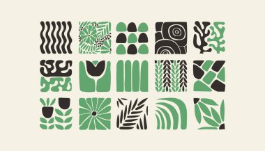 Bauhaus bitkileri, karolardaki doğal monokrom deseni, çiçekli dekoratif soyut sanat, yapraklar, meyveler, sebzeler, taşlar, afiş, duvar kağıdı