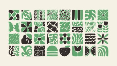 Bauhaus bitkileri, karolardaki doğal monokrom deseni, çiçekli dekoratif soyut sanat, yapraklar, meyveler, sebzeler, taşlar, afiş, duvar kağıdı