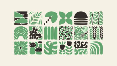 Bauhaus bitkileri, karolardaki doğal monokrom deseni, çiçekli dekoratif soyut sanat, yapraklar, meyveler, sebzeler, taşlar, afiş, duvar kağıdı