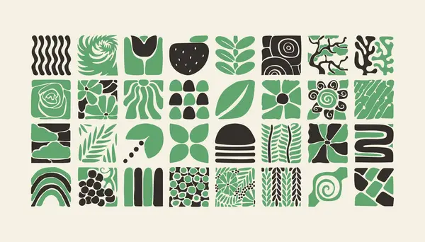 Bauhaus bitkileri, karolardaki doğal monokrom deseni, çiçekli dekoratif soyut sanat, yapraklar, meyveler, sebzeler, taşlar, afiş, duvar kağıdı