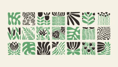 Bauhaus bitkileri, karolardaki doğal monokrom deseni, çiçekli dekoratif soyut sanat, yapraklar, meyveler, sebzeler, taşlar, afiş, duvar kağıdı