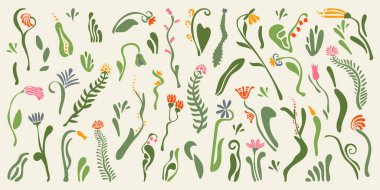 Büyük, soyut, zarif, süslü çiçekler, botanik doğal desen, bitkisel arka plan, izole elementler, İskandinav tarzı