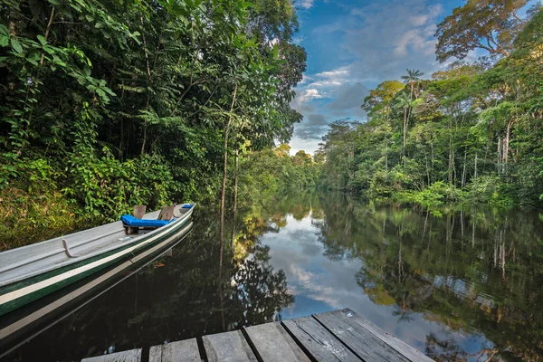 低视点上的Cuyabeno亚马逊河与蓝色的天空 倒映在水面上 浮桥和独木舟上的河岸 在Siona Secoya语言中 Cuyabeno的意思是 善良的河流 — 图库照片