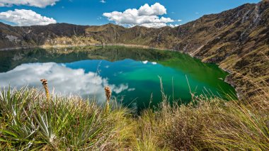 Panoramic view of the Quilotoa emerald green crater lake on a beautiful sunny day with blue sky and some clouds reflecting in the calm water