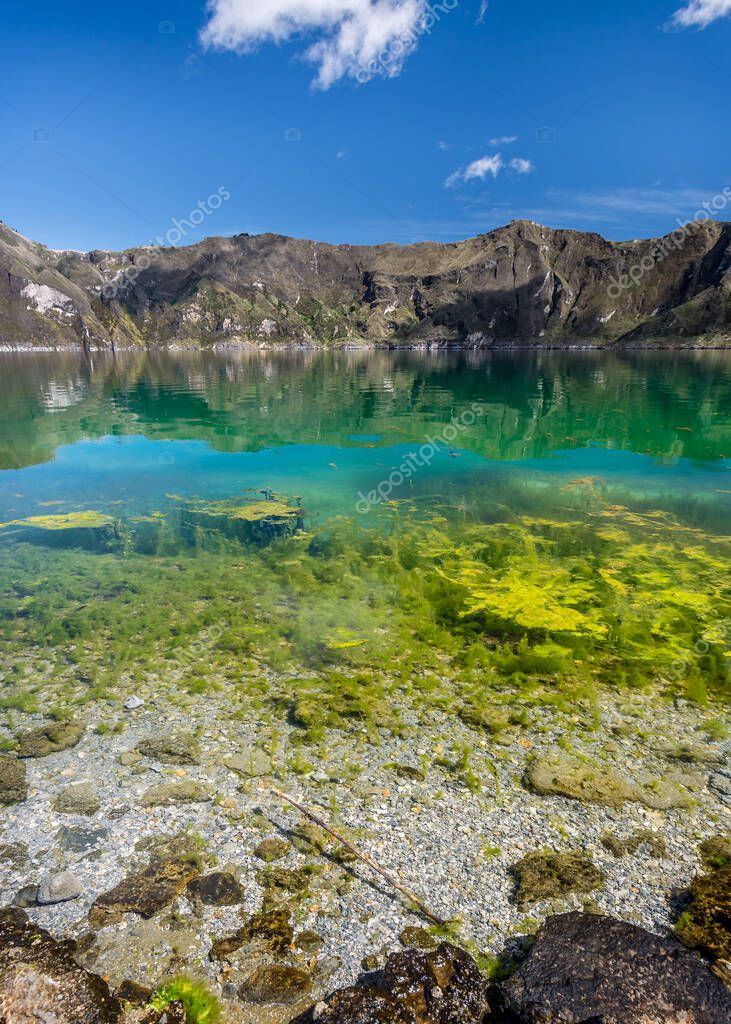 Shore Lake Shot Of Algae Clear Water And The Emerald Green Lake Of The Quilotoa Volcanic