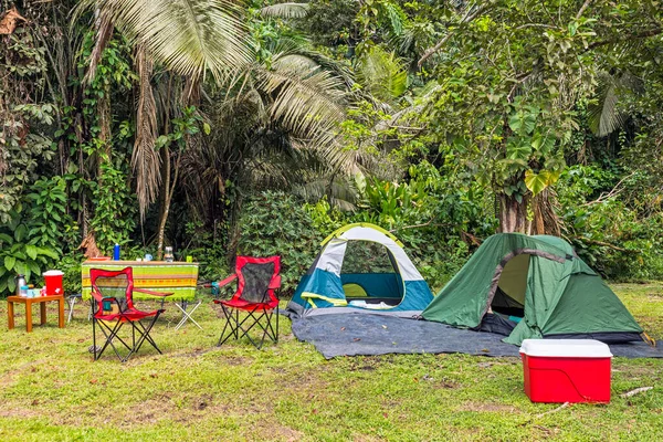 热带森林中的营地 有两个帐篷 野餐桌 饮料和冷却器 — 图库照片
