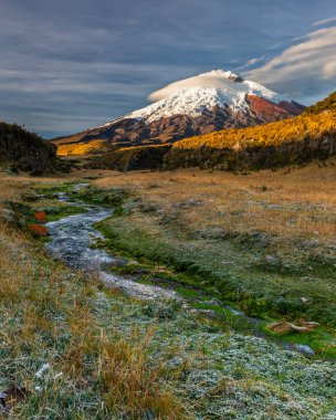 Sabahın erken saatlerinde soğuk ve soğuk bir havada kuzey-kuzeydoğu yüzünde Cotopaxi volkanı. Hoarfrost nehir kenarındaki çimenleri kaplar. Arka planda yükselen güneşin turuncu ışığı, volkanı ve dar vadinin tepelerini aydınlatır.