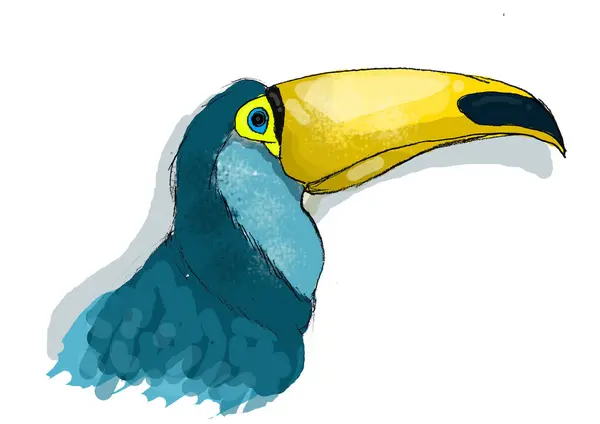 Toucan Brezilya Kuşu Mavi Surat Sarı başlık