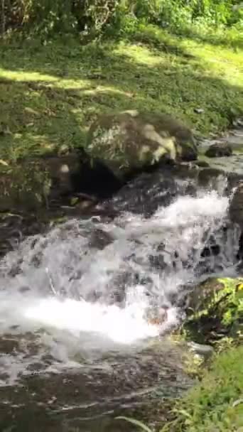 River Water Flows Quite Fast Calm — Stockvideo