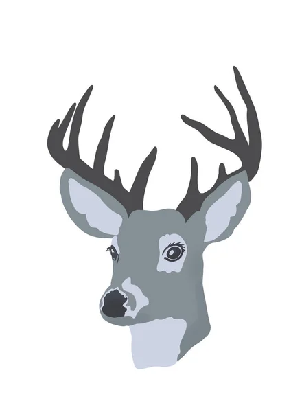 可爱的灰鹿角白色背景的鹿角 有鹿角画的野生动物 现实鹿脸图解 — 图库照片