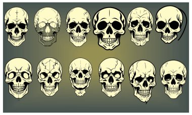 Kafatasları çoğunlukla moda tasarımlarında kullanılır, özellikle rock grupları, sokak kıyafetleri veya gotik markalar için. Çizgi sanat kafatasları minimalist ama cesur bir estetik.