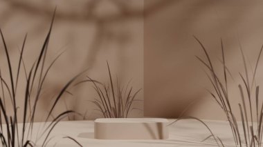Doğal gölge bej arkaplanda bej rengi podyum modeli, kuru yaprak ve çimenler boş platform güzellik ürünleri sergisi ve sunumu, 3D