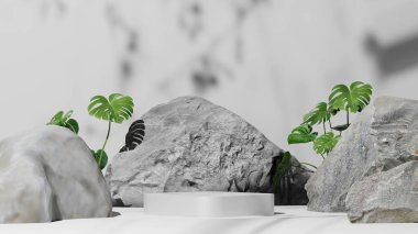 Doğal beyaz podyum modeli veya canavar bitkisi olan kaide, güzellik ürünleri sergisi ve sunumu için boş platform, 3D görüntüleme