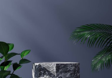 Doğal yaprak ve koyu arkaplan, beyaz mermer podyum modeli veya kaidesi olan, ürün sergisi ve sunumu için boş platform, 3D görüntüleme