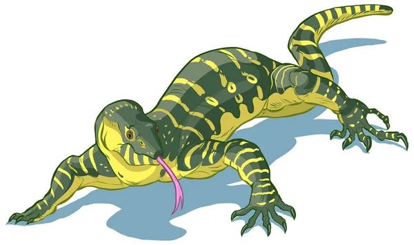 Vector Clip Art Cartoon Illustration Nile Monitor Lizard Its Tongue — Stock Vector