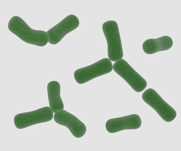 Bifidobacterium Used Probiotics Rendered — Stock Photo, Image