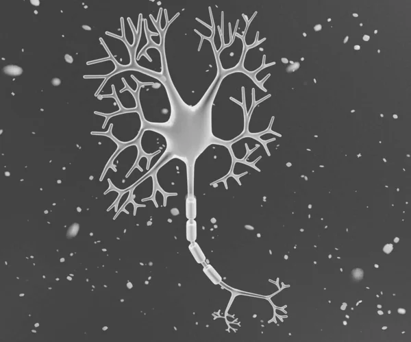 Neurona Humana Aislada Célula Nerviosa Renderizado — Foto de Stock