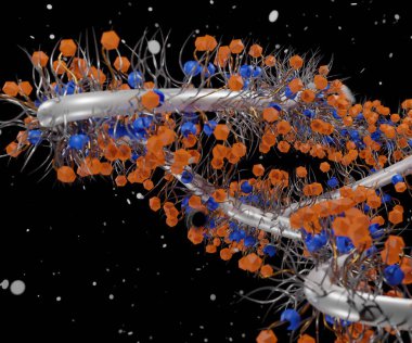 Polimer ilaç çekimi terapisi ilaç teslimatı 3D görüntüleme