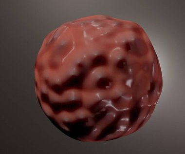 Morula, 16 hücreden oluşan erken dönem bir embriyodur. Blastomer deniyor. Zımba pellucida 3D 'nin içinde bulunan sert bir topta.