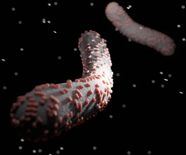 Ebola Também Conhecido Como Doença Vírus Ebola Febre Hemorrágica Ebola — Fotografia de Stock