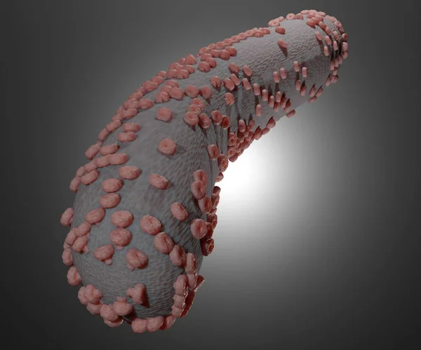 Ebola, also known as Ebola virus disease and Ebola hemorrhagic fever, is a viral hemorrhagic fever in humans and other primates 3D rendering