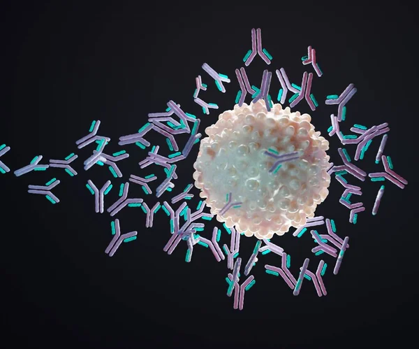 Antigen Molecule Initiates Production Antibody Causes Immune Response Rendering — Stock Photo, Image