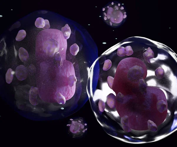 The basophils are a type of white blood cell on the black background 3d rendering