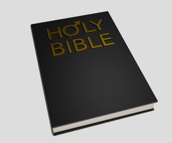 Mannelijke Bijbel Bijbel Gemaakt Door Mannelijke Mannelijke Auteurs Bijbel Voor — Stockfoto