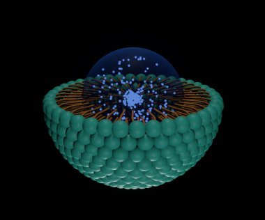 Nano-halılar taşıyıcı 3D işlemeli katı lipid nanoparticle