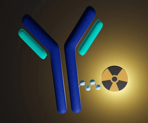モノクローナル抗体は放射性物質または放射性トレーサーと対になっています 放射線免疫療法3Dレンダリング — ストック写真