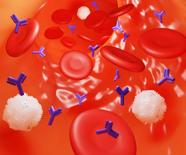 An immune response initially involves the production of antibodies in the blood flow 3d rendering