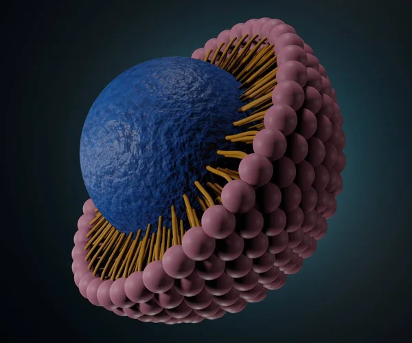 Nanopartícula Lipídica Sólida Com Nanodrugs Transportador Renderização — Fotografia de Stock