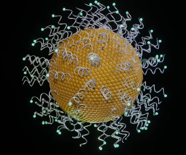 Die Bindung Spezifischer Antikörper Die Oberfläche Der Liposomen Ermöglicht Ihnen — Stockfoto
