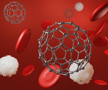 Fulleren, alyuvar hücreleri ve beyaz kan hücreleri.