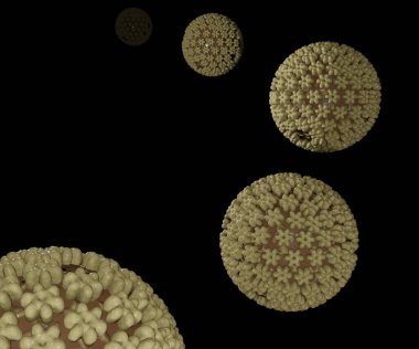 Herpes simplex virüsü 1 ve 2 (HSV-1 ve HSV-2) 3d