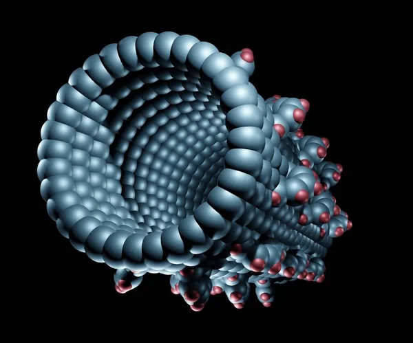 Çoklu dişli Fullerene Nano-dişlileri