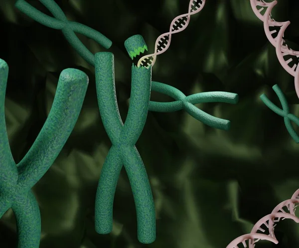 Dna Chromosome Dna Strands Chromosome Human Genetic Research Rendering — Stock fotografie