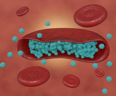 Intracellular drug loading red blood cells or erythrocyte 3d rendering