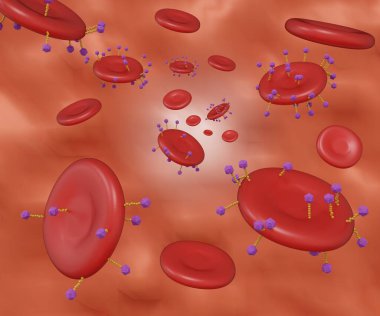 Loading drugs or nanodrugs into the carrier Red Blood Cells (RBC). erythrocytes as drug carrier. biosensors conjugated 3d rendering