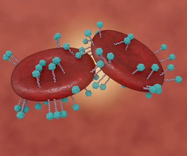 Loading Drugs Nanodrugs Carrier Red Blood Cells Rbc Erythrocytes Drug — Foto de Stock