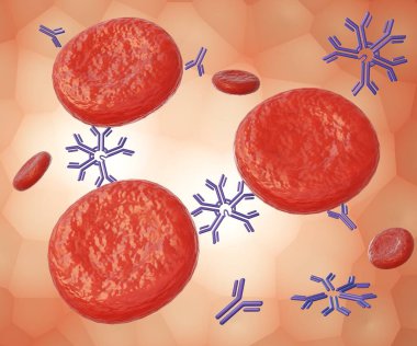 The distribution of antibody immunoglobulin M interaction forces on individual red blood cells 3d rendering